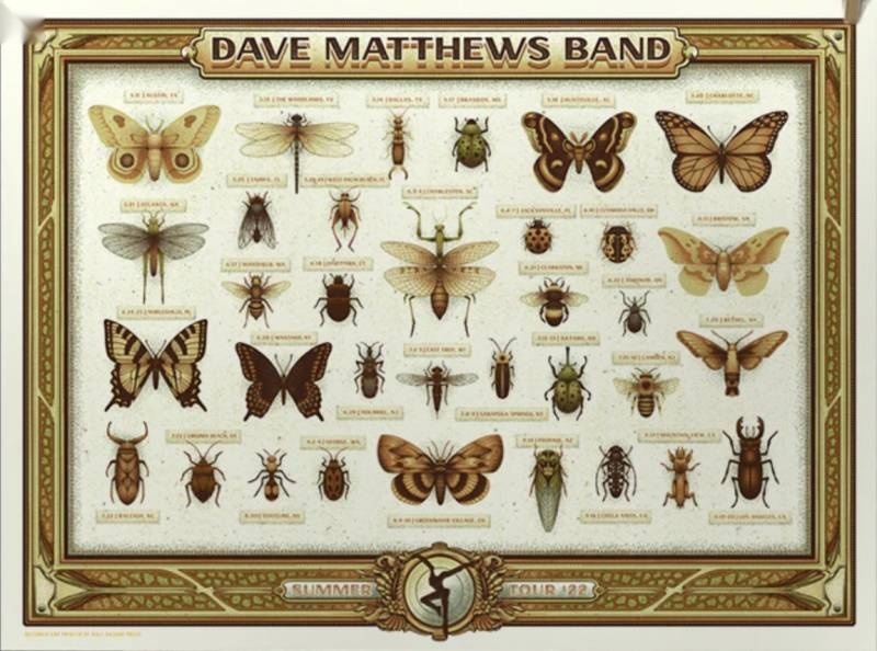 Half Hazard Press — Dave Matthews Band, 2022 Tour Poster, Unknown · Jan 1, 2022 Artist Poster