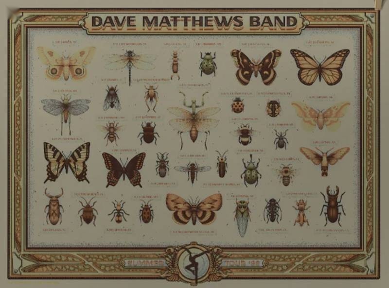 Half Hazard Press — Dave Matthews Band, 2022 Tour Poster, Unknown · Jan 1, 2022 Artist Poster