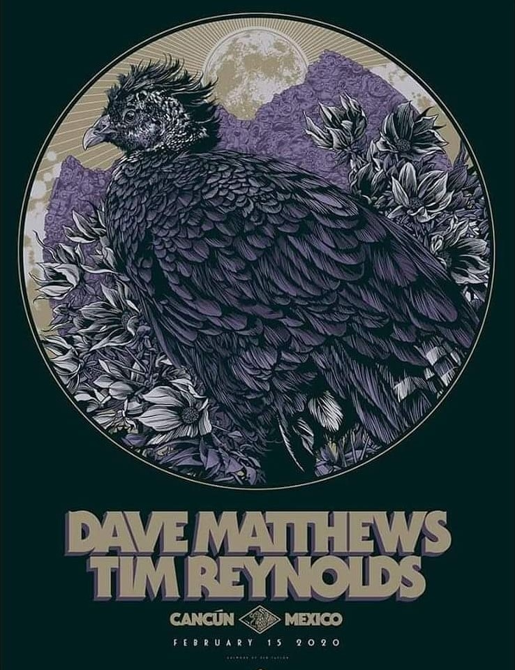 Ken Taylor — Dave Matthews Band, Moon Palace Golf & Spa Resort, Cancún, MX · Feb 15, 2020 Artist Poster