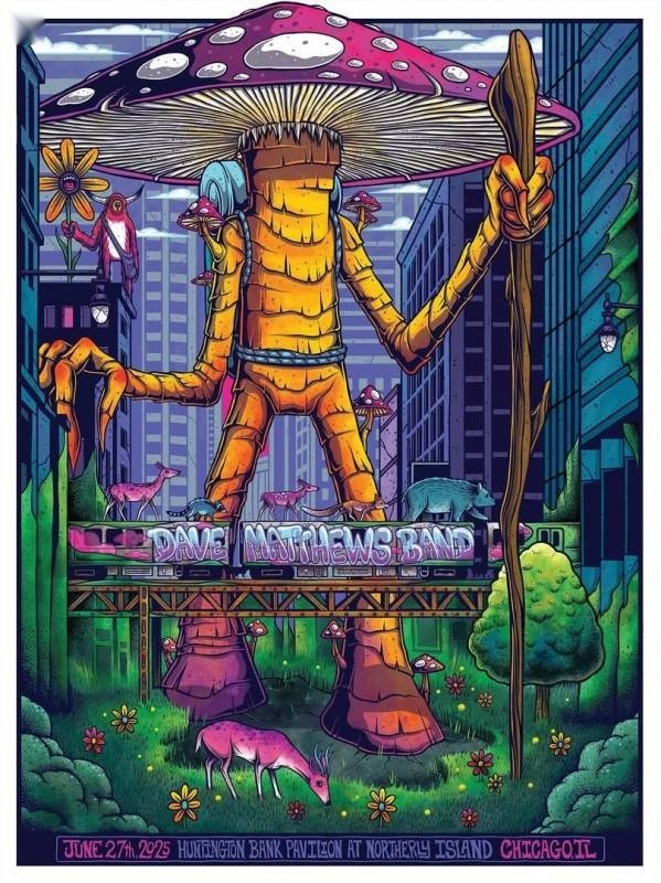 Jim Mazza — Dave Matthews Band, Huntington Bank Pavilion at Northerly Island, Chicago, IL · Jun 27, 2025 Artist Poster