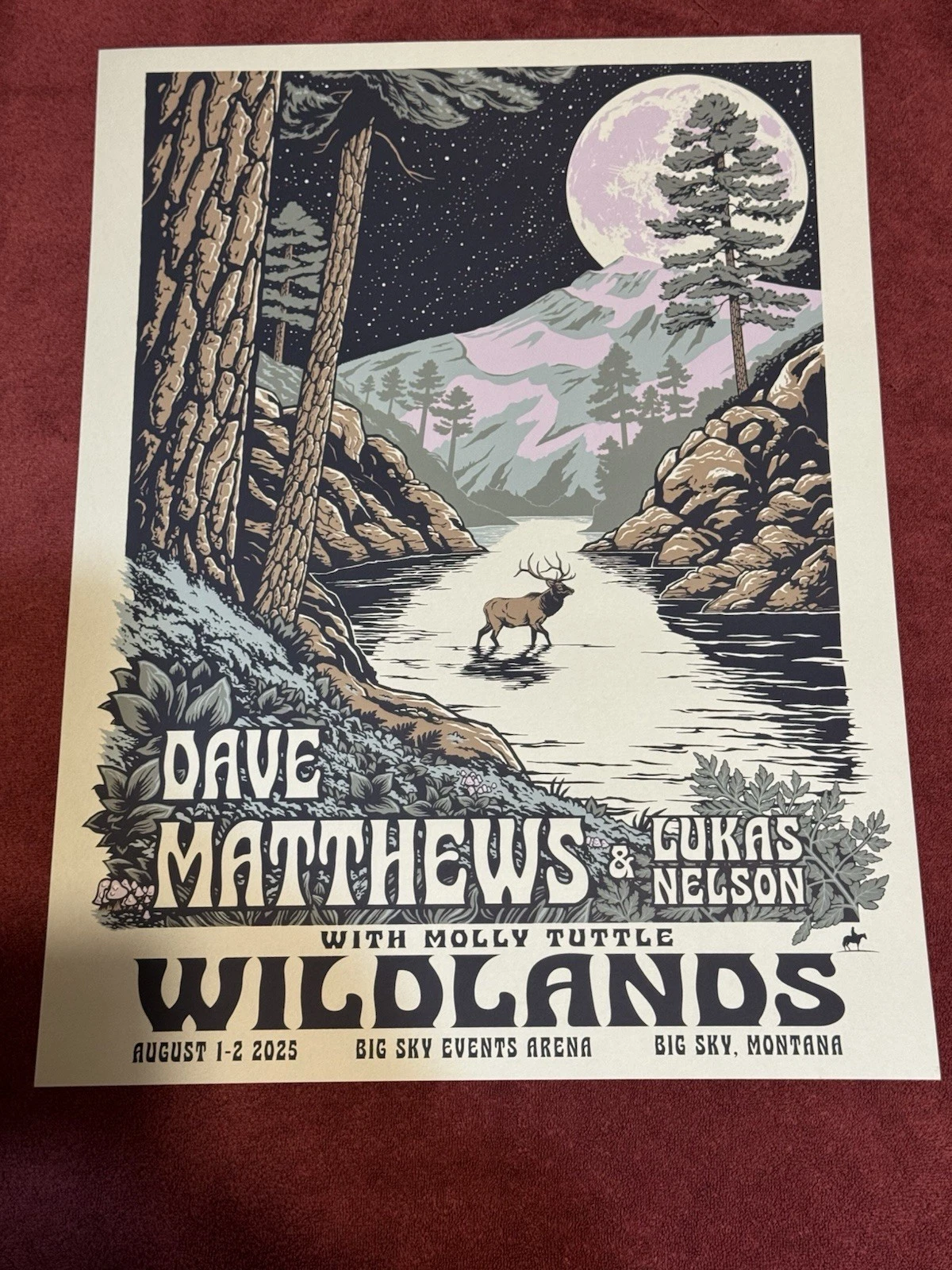 Dan Levar — Dave Matthews Band, Big Sky Events Arena, Big Sky, MT · Aug 1–2, 2025 Show Poster